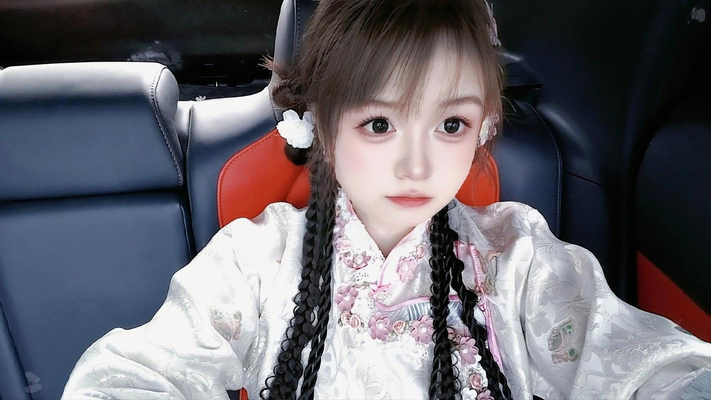 一级αv在线播放播放器界面