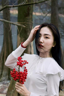 一级α片免费在线观看功能界面